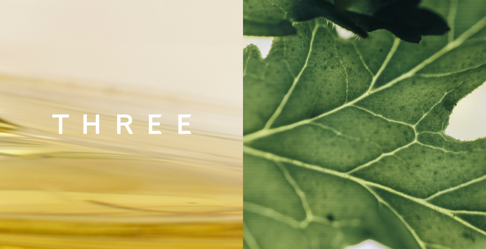 THREEブランドコンセプト