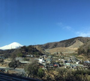 茶畑に行ってきました（1）