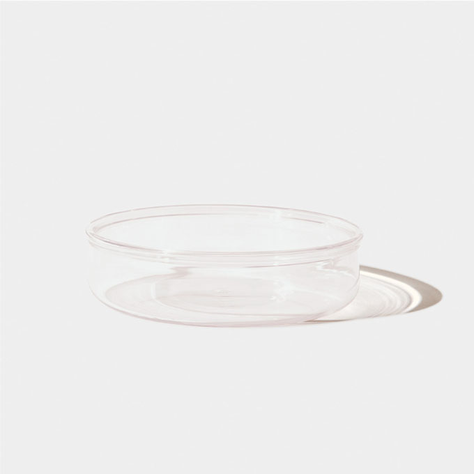 菊地大護 lip plate