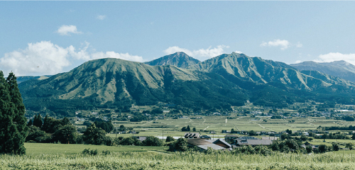 THREE ハーブガーデン